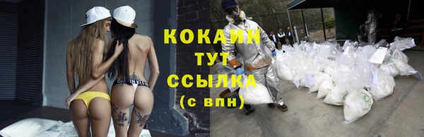 2c-b Алзамай